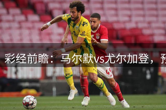 彩经前瞻：马尔默vs尤尔加登，预计客队不败全身而退
