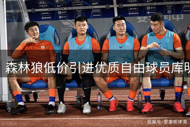 森林狼低价引进优质自由球员库明加